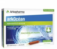 Arkocean Magnesium Marin Solution Buvable Caramel 20 Ampoules/10ml à LIVRON-SUR-DROME