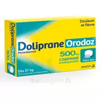 Dolipraneorodoz 500 Mg, Comprimé Orodispersible à LIVRON-SUR-DROME